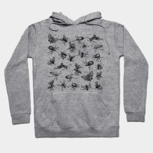 Black insects block Hoodie